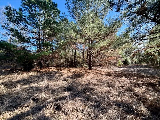 $325,000 | 300 Oakwood Tx 75855, Oakwood, TX 75855