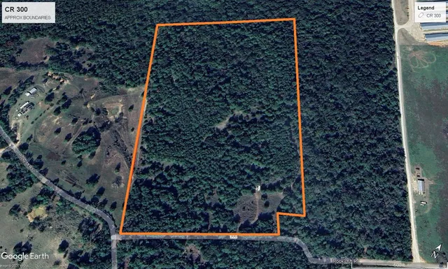 a backyard of a house with lots of green space and a forest