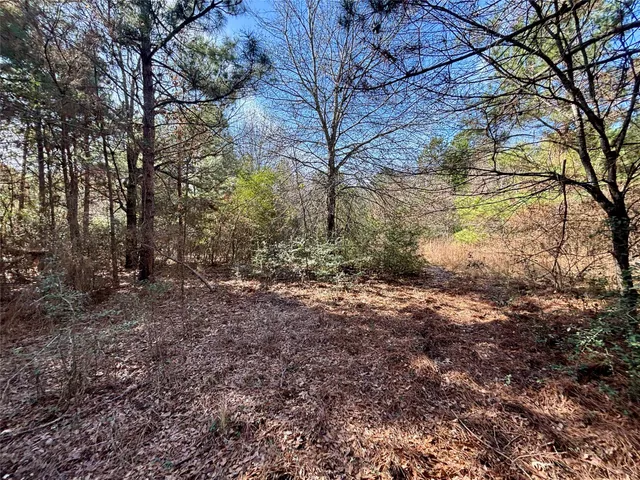 $325,000 | 300 Oakwood Tx 75855, Oakwood, TX 75855