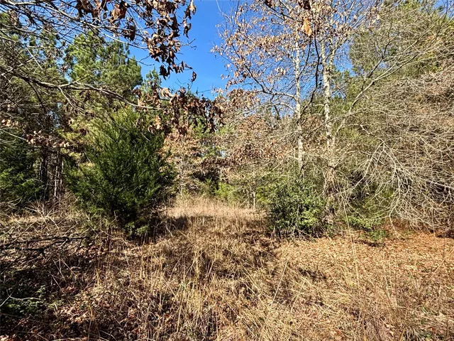 $325,000 | 300 Oakwood Tx 75855, Oakwood, TX 75855