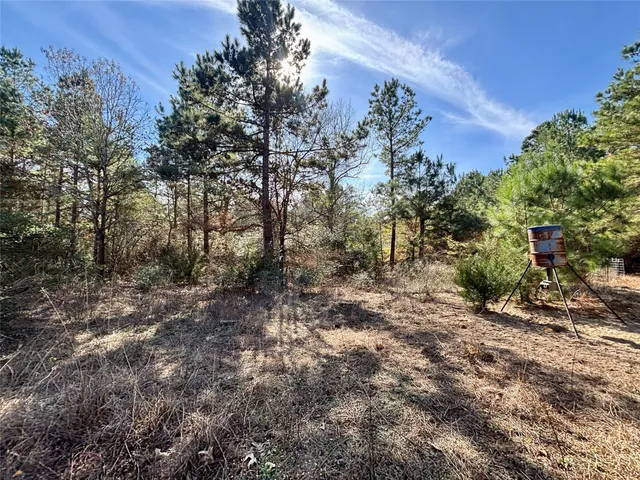 $325,000 | 300 Oakwood Tx 75855, Oakwood, TX 75855