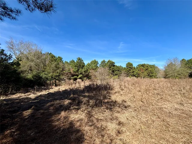 $325,000 | 300 Oakwood Tx 75855, Oakwood, TX 75855