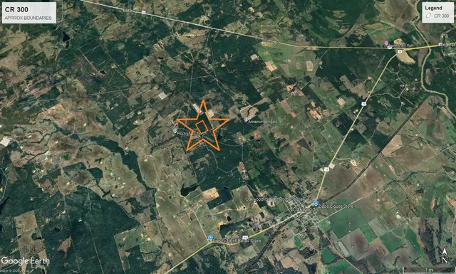 a view of road with trees