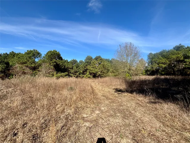 a view of a yard with trees