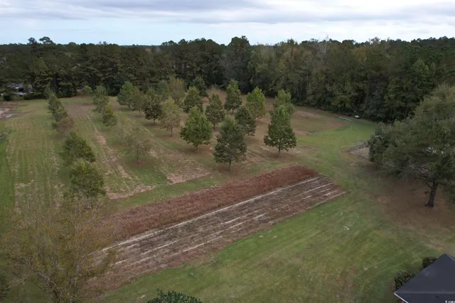 $445,000 | 4575 Saints Delight Road, Georgetown, SC 29440