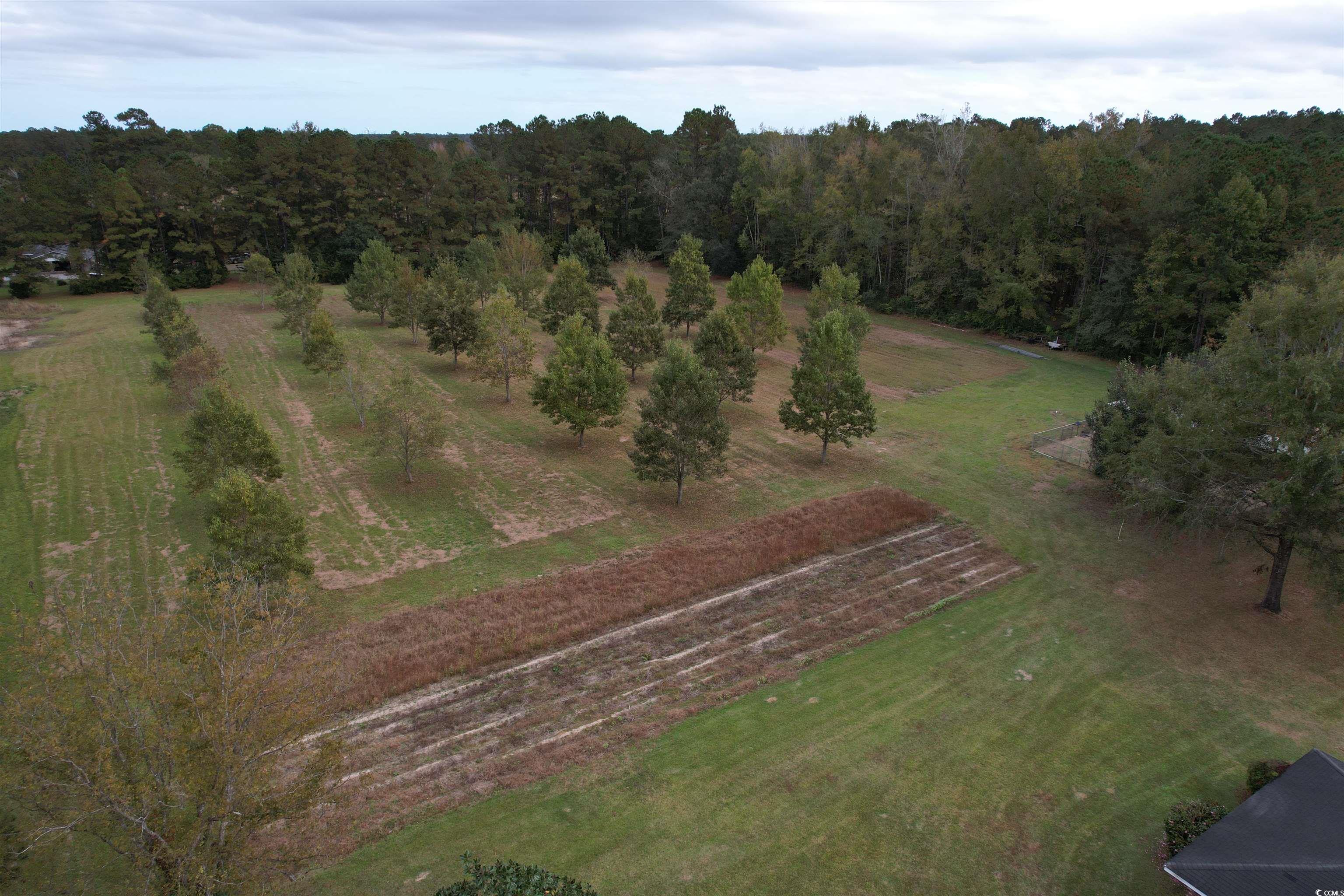 4575 Saints Delight Road Georgetown, SC 29440 - Photo 22 of 32
