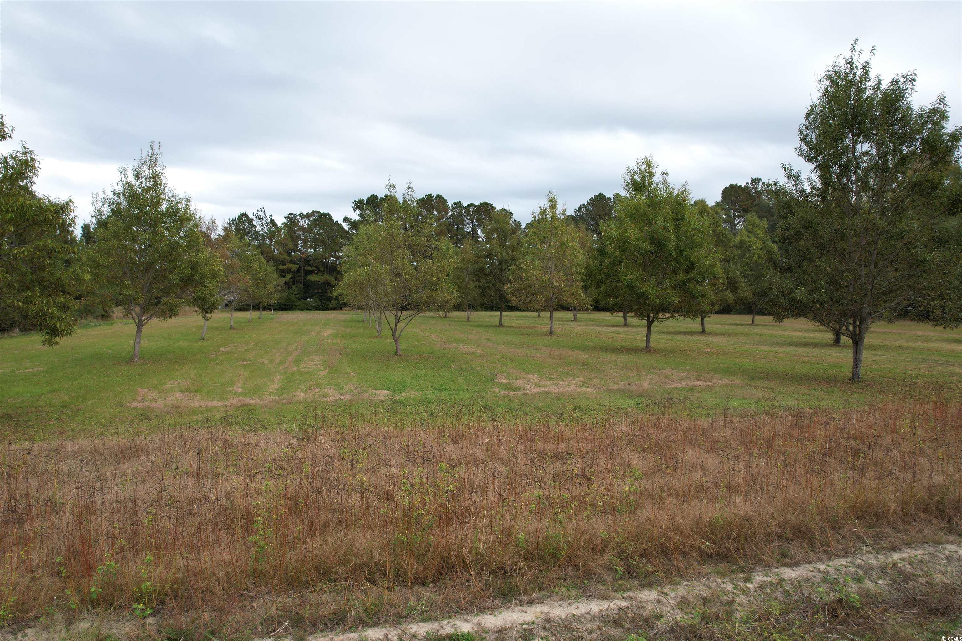 4575 Saints Delight Road Georgetown, SC 29440 - Photo 23 of 32