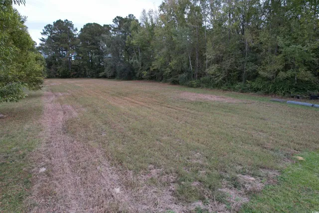 $445,000 | 4575 Saints Delight Road, Georgetown, SC 29440