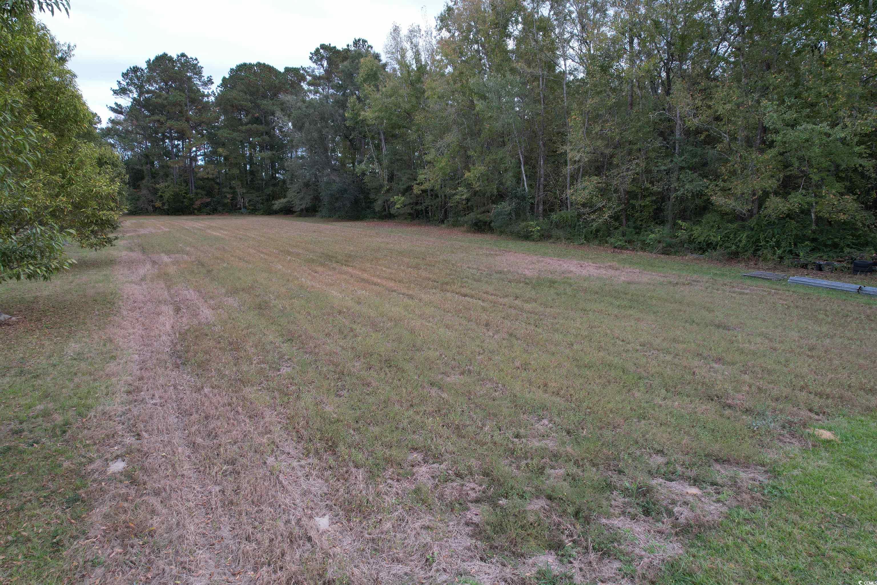 4575 Saints Delight Road Georgetown, SC 29440 - Photo 24 of 32