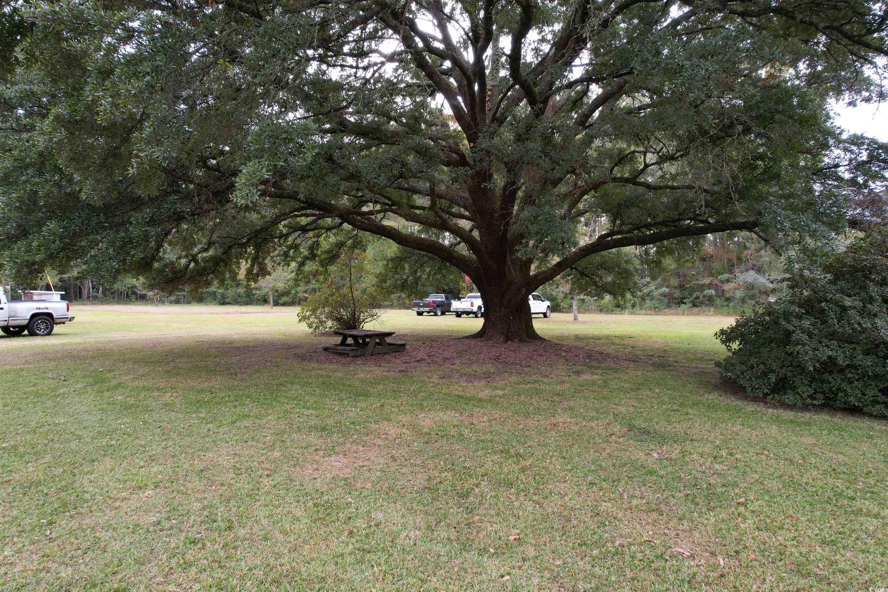 4575 Saints Delight Road Georgetown, SC 29440 - Photo 27 of 32