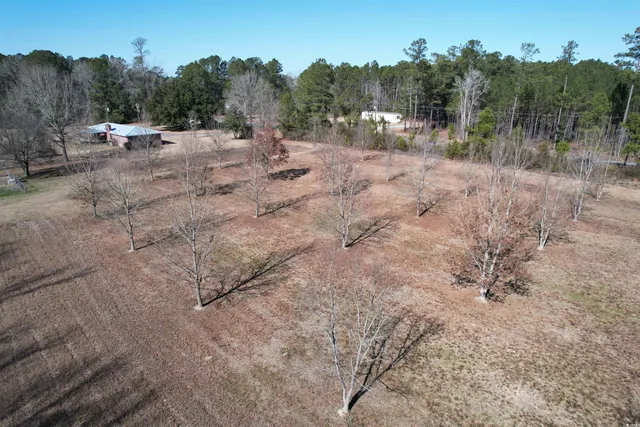 $445,000 | 4575 Saints Delight Road, Georgetown, SC 29440