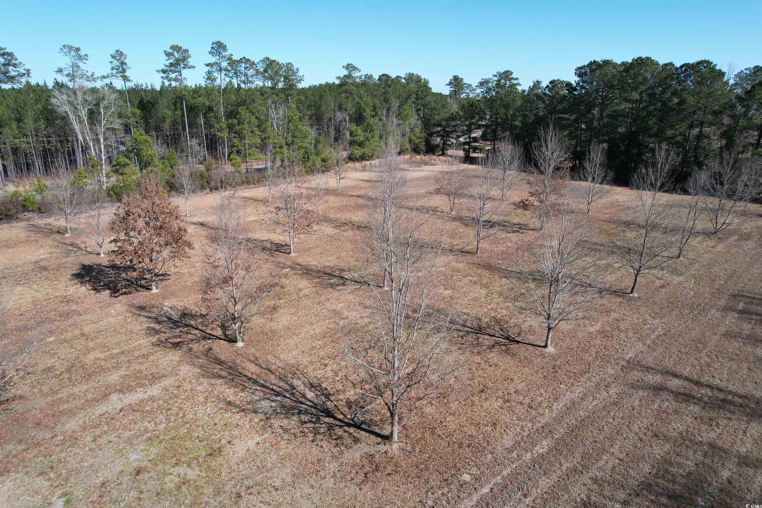 4575 Saints Delight Road Georgetown, SC 29440 - Photo 29 of 32