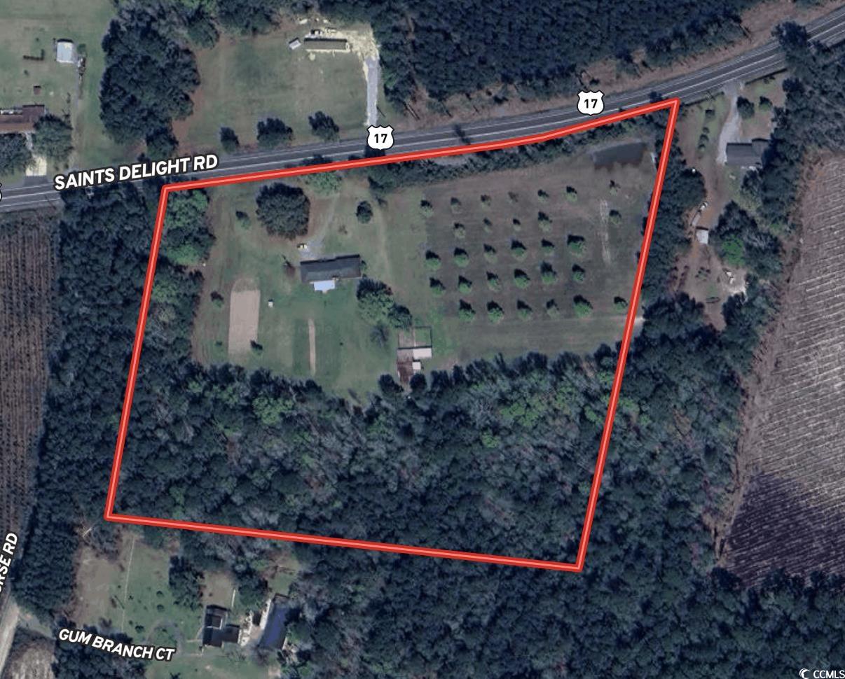 4575 Saints Delight Road Georgetown, SC 29440 - Photo 32 of 32