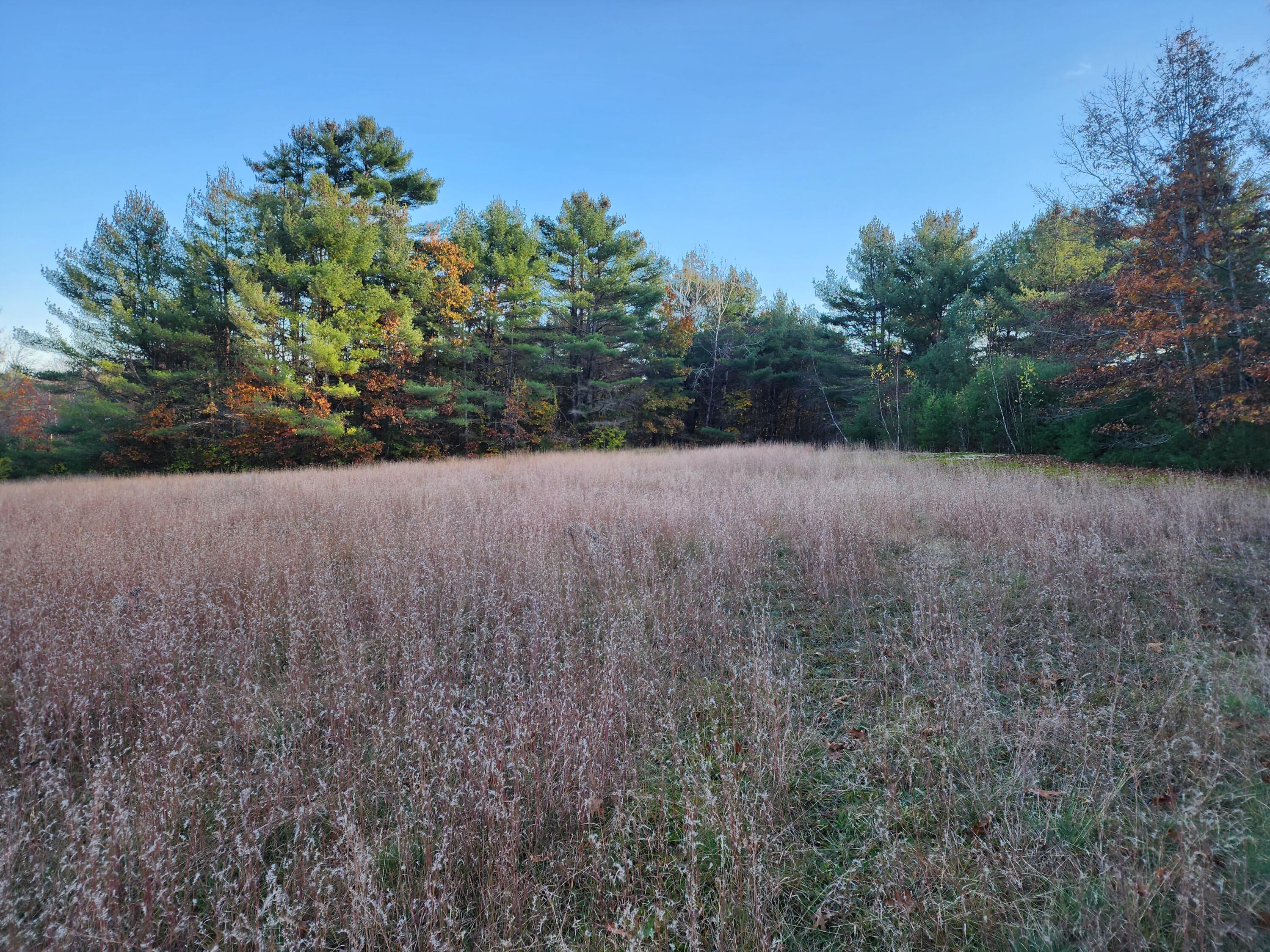 Lot 10 Raymond Cape Road Casco, ME 04015 - Photo 19 of 24 20231105_150905