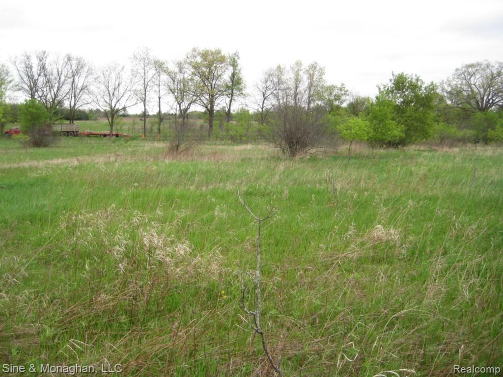 Ssss Ssss Washburn Road Grass Lake, MI 49240 - Photo 3 of 5