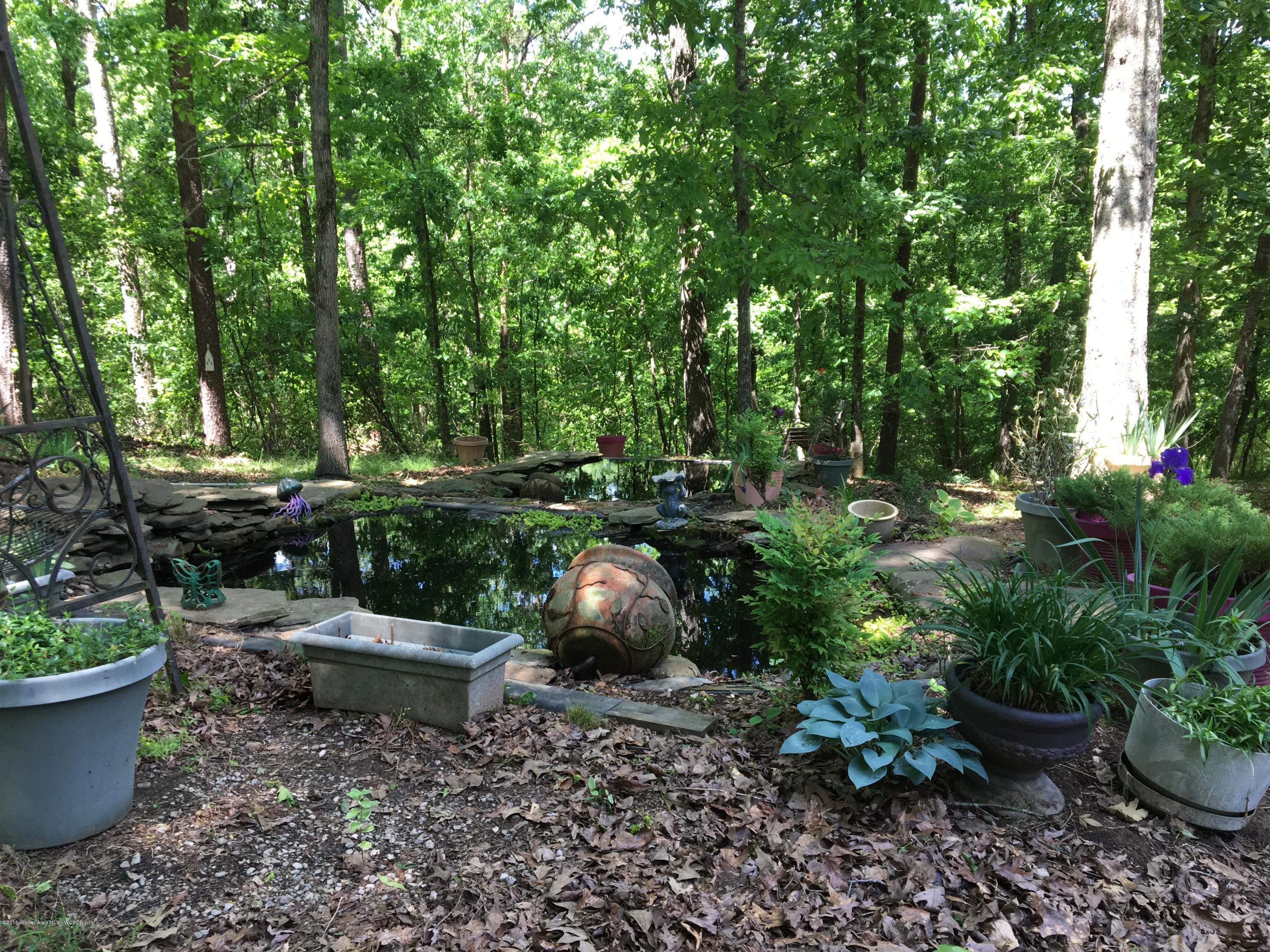 4545 Holly Grove Road Jasper, AL 35501 - Photo 20 of 34 Gallery Image 20