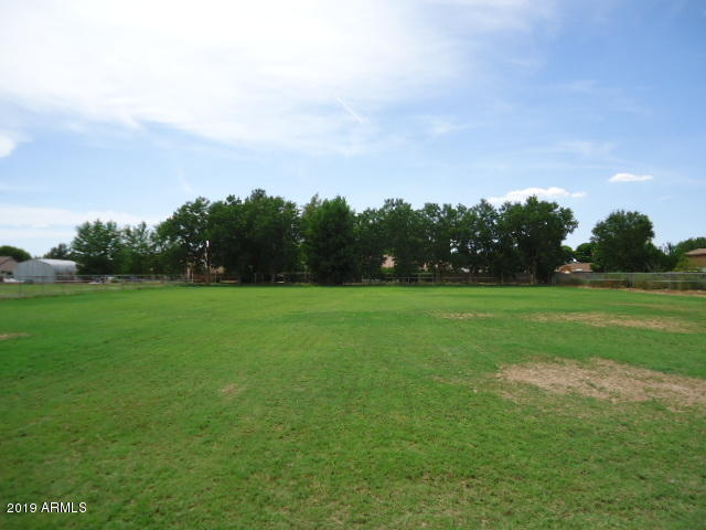 Pasture-Trees