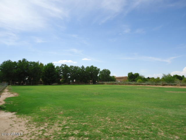 Pasture-Trees-South