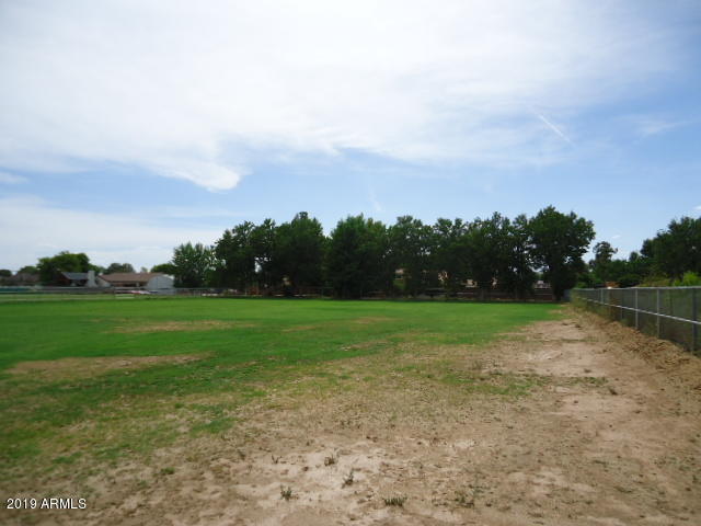 Trees-Pasture North