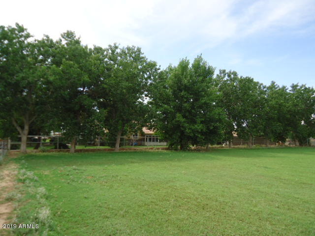 Trees