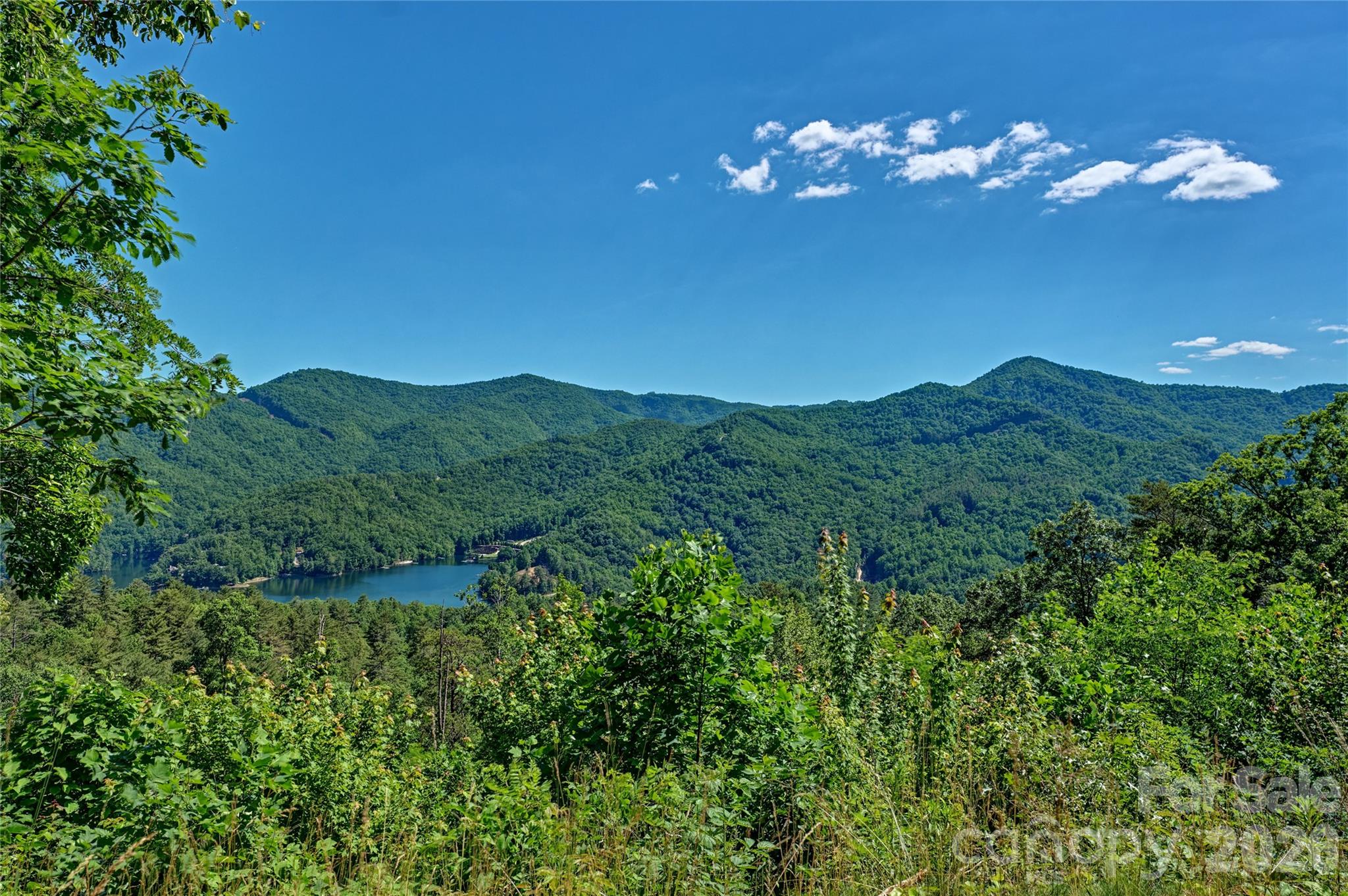 4017 Canada Road Tuckasegee, NC 28783 - Photo 5 of 46