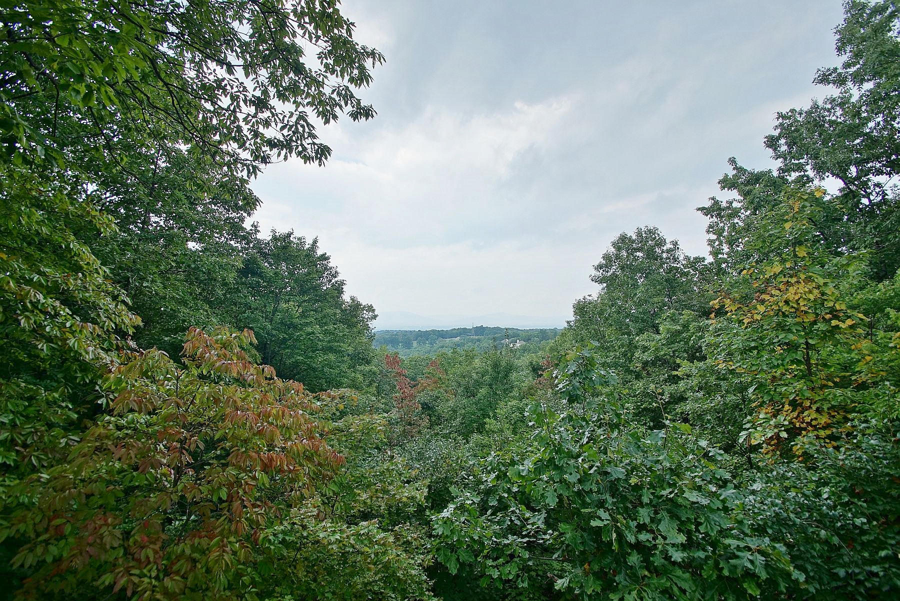 5009 Fox Ridge Road Southwest Roanoke, VA 24018 - Photo 21 of 94 Breathtaking views