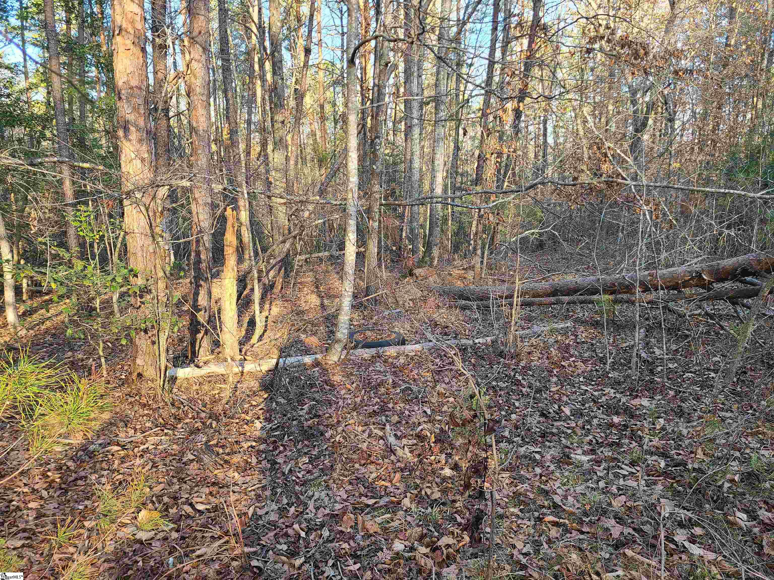 310 Penson Road Honea Path, SC 29654 - Photo 3 of 10