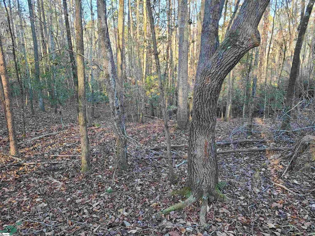 $224,235 | 310 Penson Road, Honea Path, SC 29654