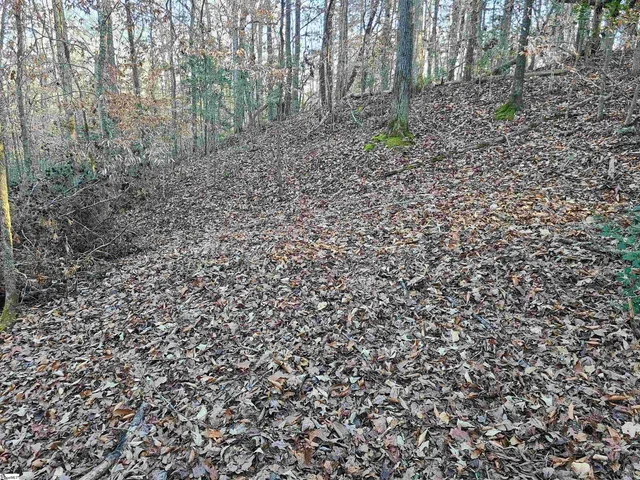 $224,235 | 310 Penson Road, Honea Path, SC 29654