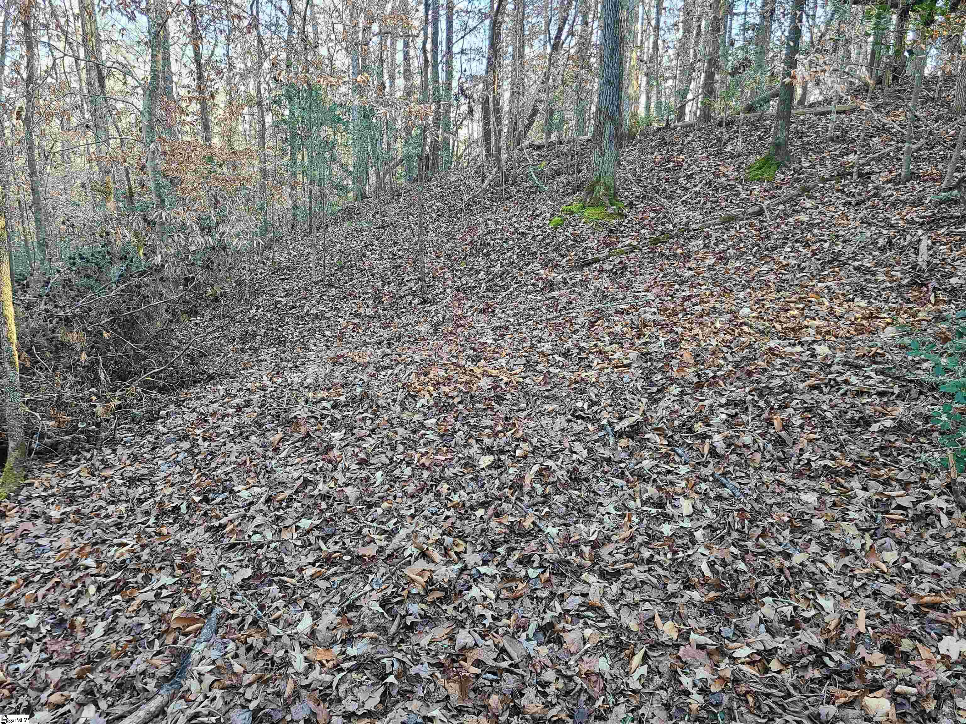 310 Penson Road Honea Path, SC 29654 - Photo 5 of 10