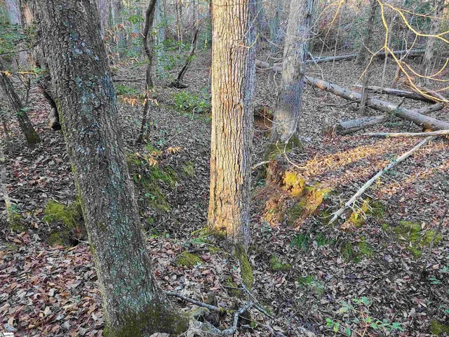 $224,235 | 310 Penson Road, Honea Path, SC 29654