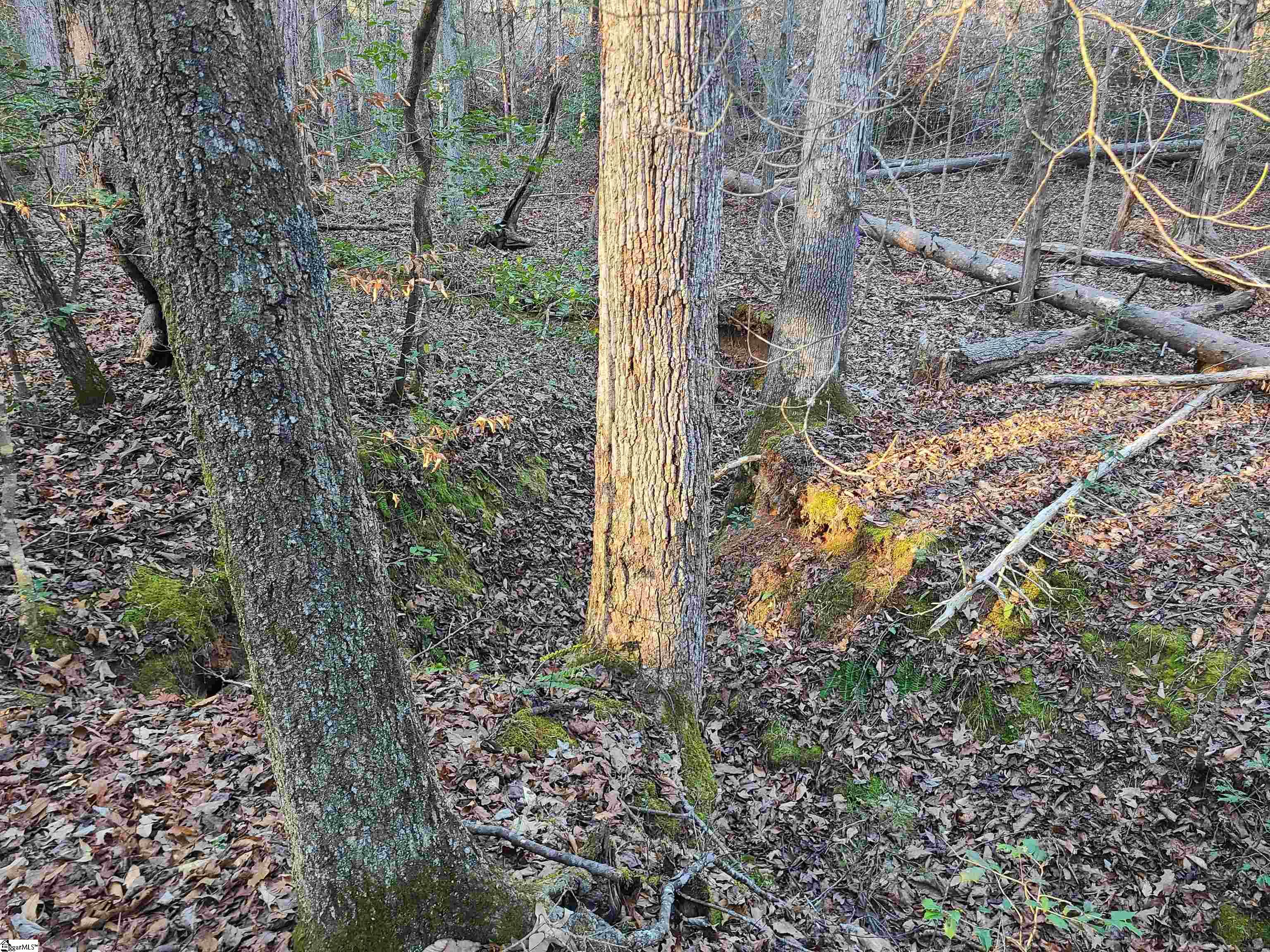 310 Penson Road Honea Path, SC 29654 - Photo 6 of 10