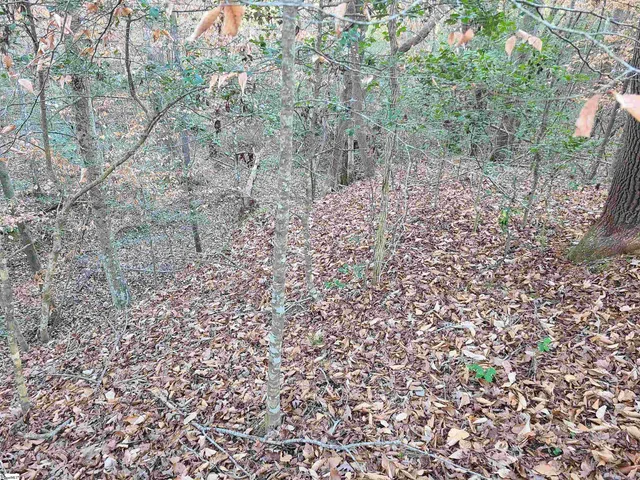 $224,235 | 310 Penson Road, Honea Path, SC 29654