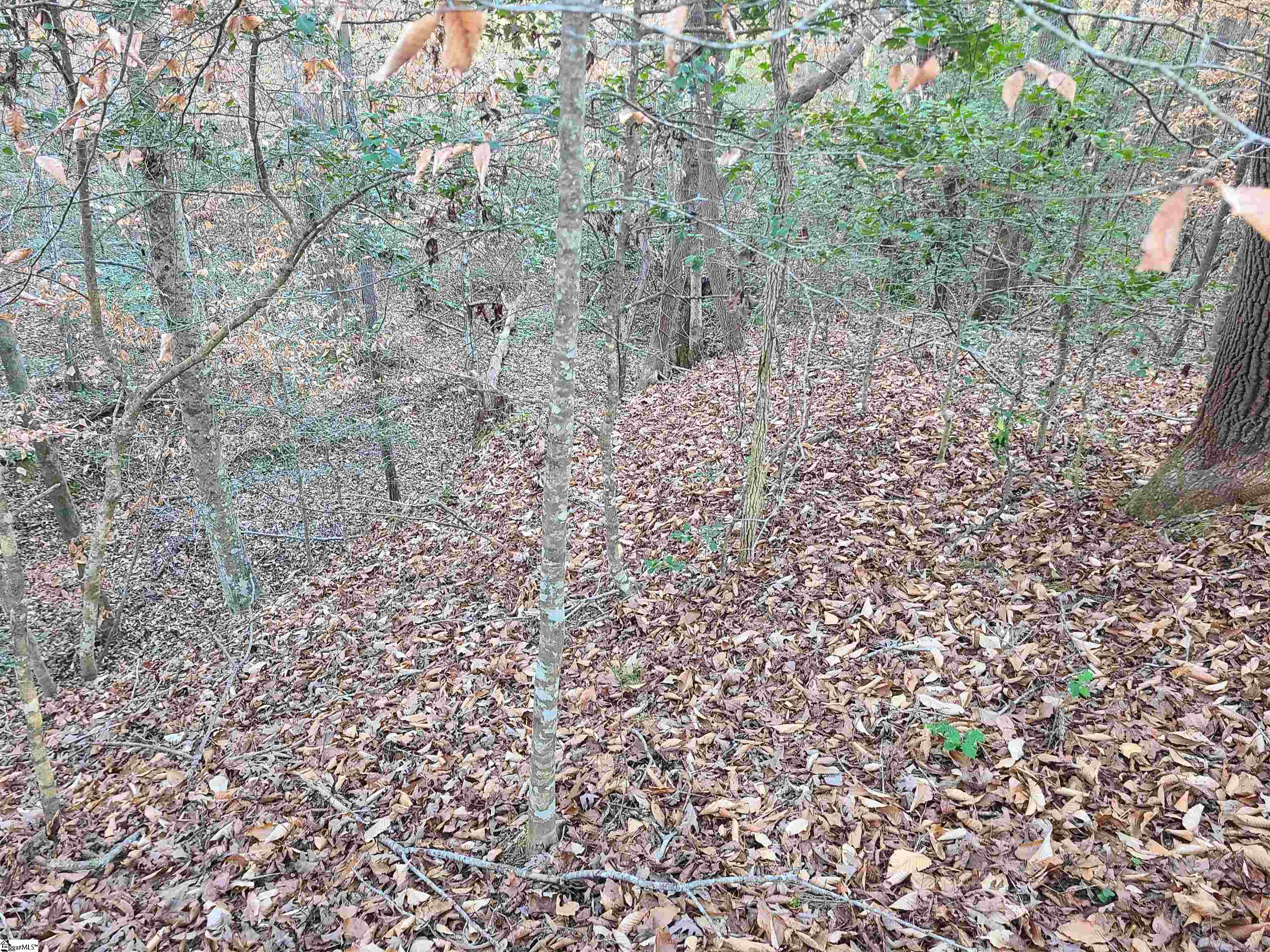 310 Penson Road Honea Path, SC 29654 - Photo 7 of 10