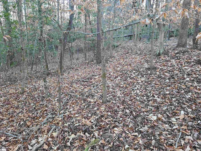 $224,235 | 310 Penson Road, Honea Path, SC 29654