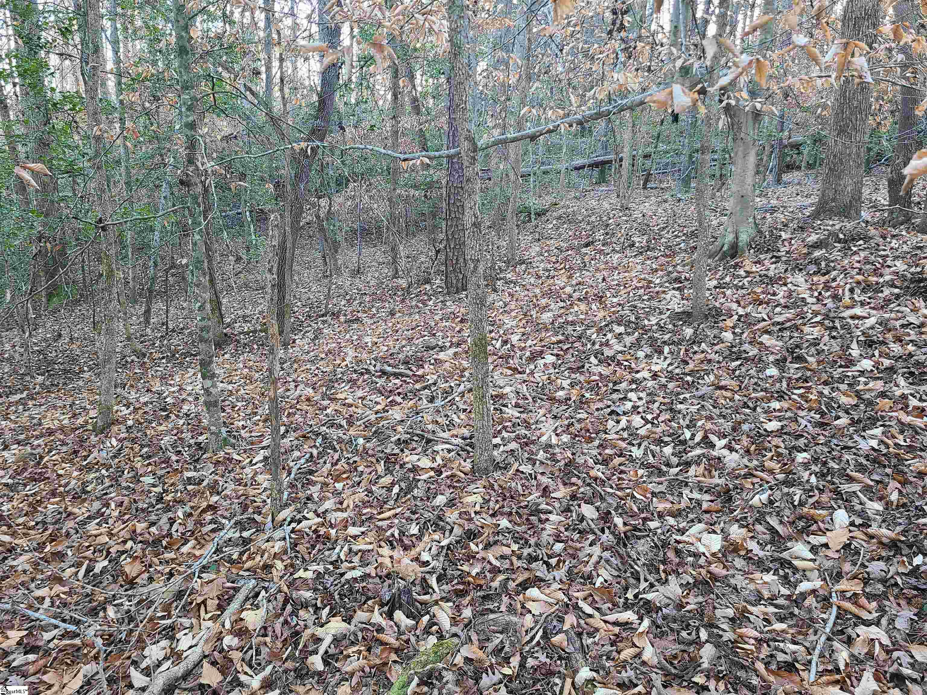 310 Penson Road Honea Path, SC 29654 - Photo 8 of 10