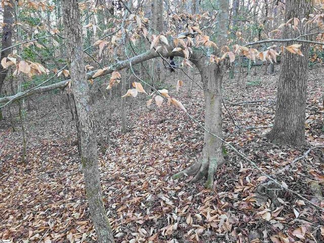 $224,235 | 310 Penson Road, Honea Path, SC 29654