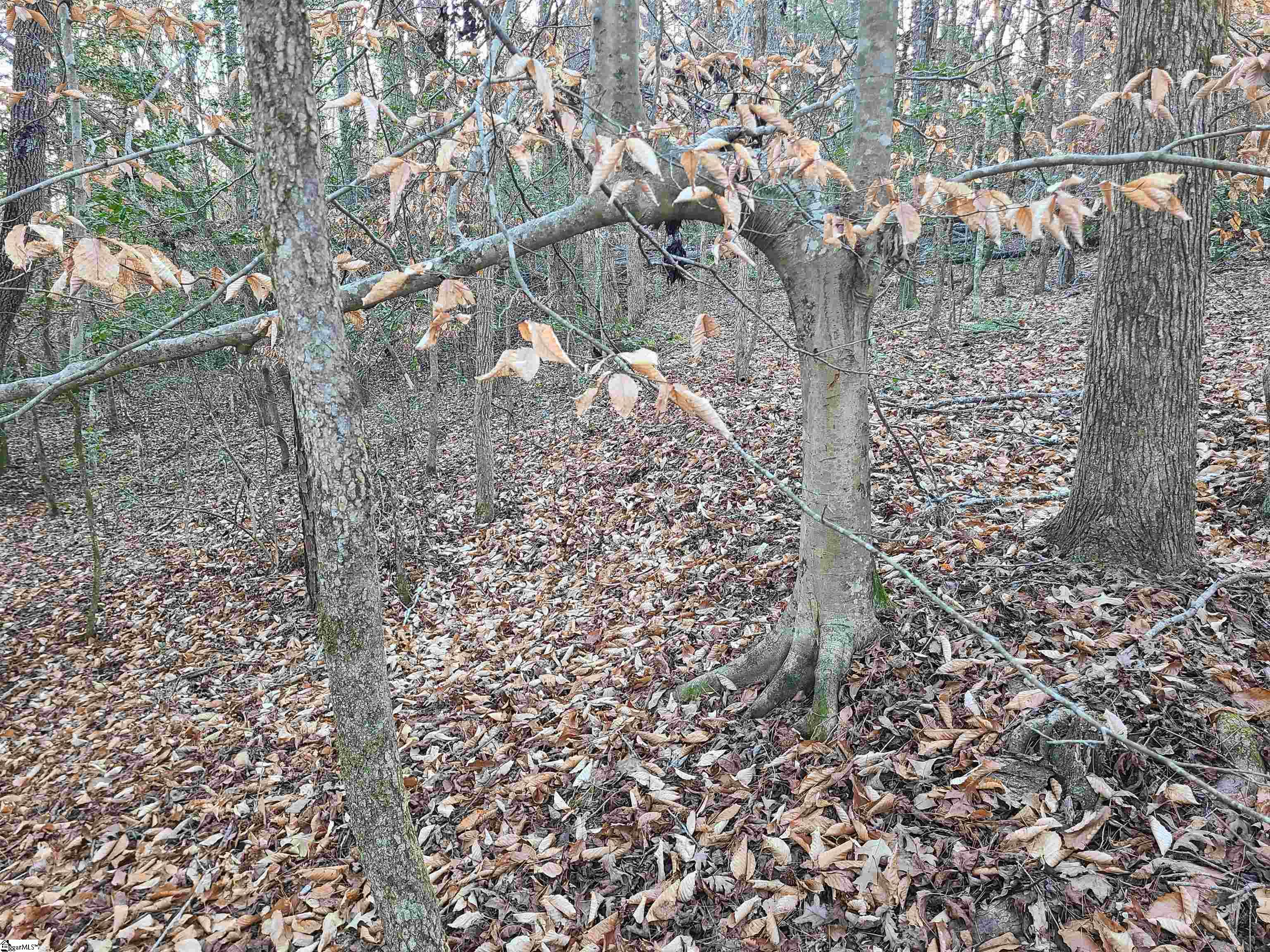 310 Penson Road Honea Path, SC 29654 - Photo 9 of 10