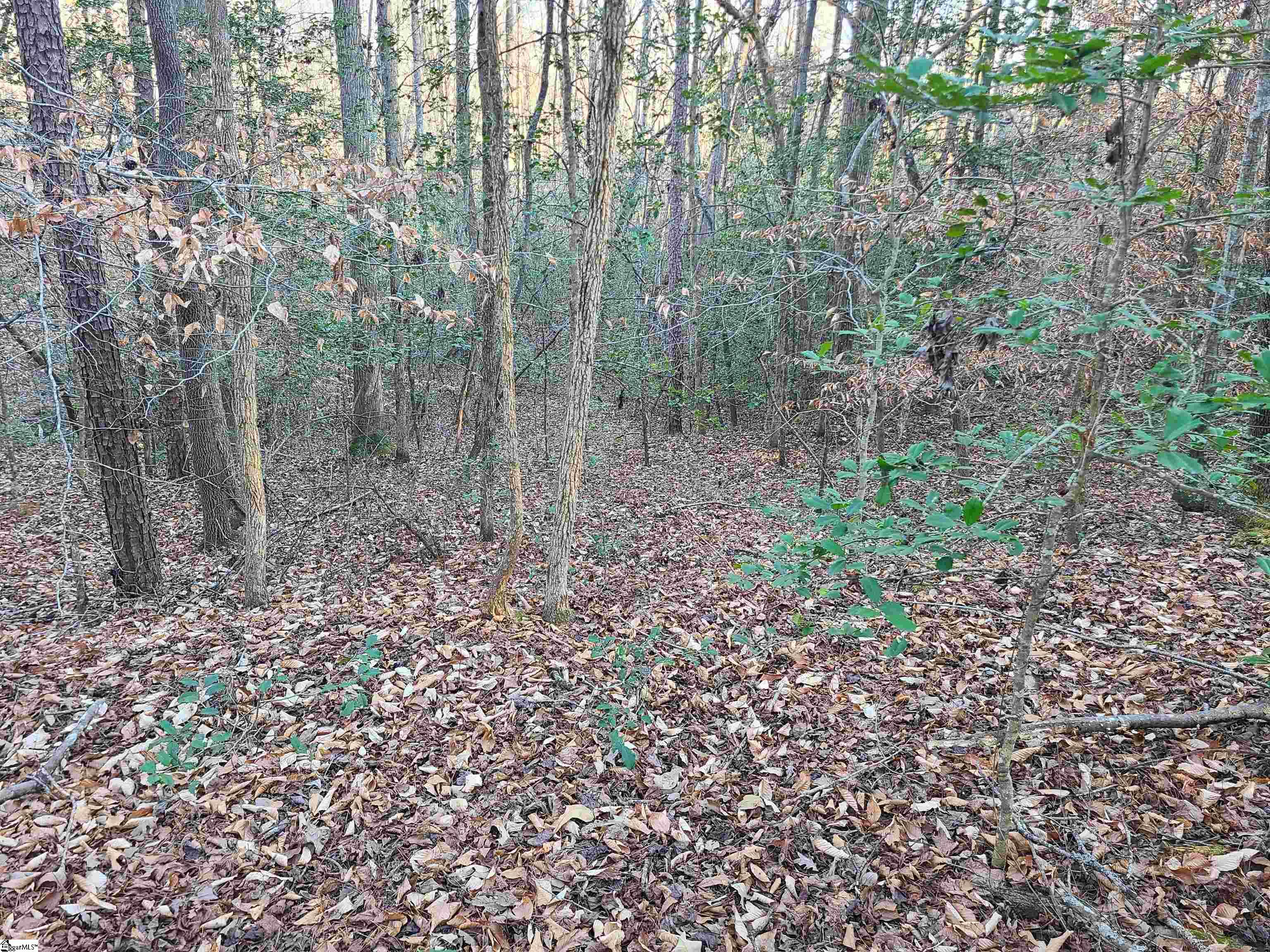 310 Penson Road Honea Path, SC 29654 - Photo 10 of 10