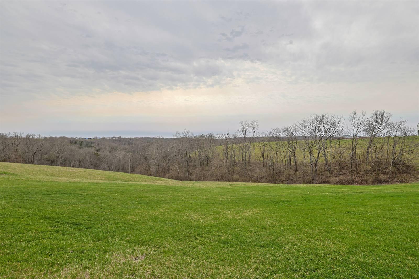 1679 Hackett Ridge Road Brooksville, KY 41004 - Photo 38 of 42 038-Wooded-View