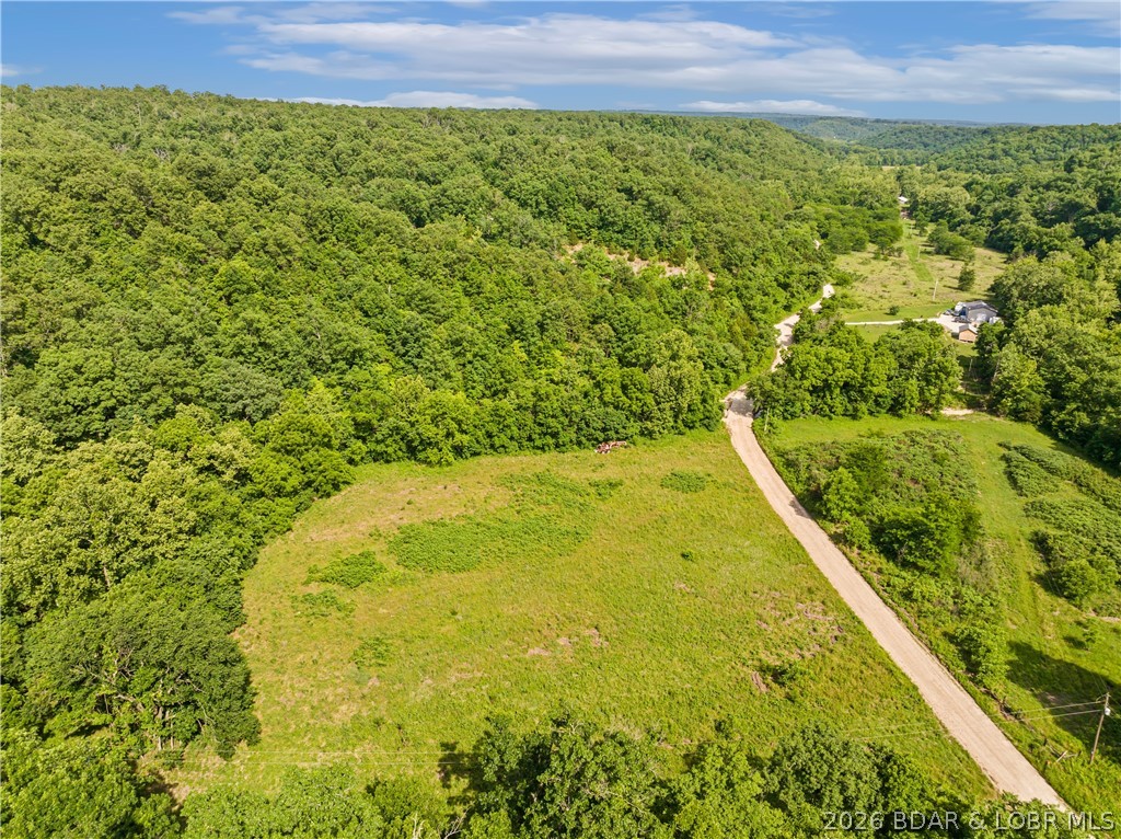 Broads Branch Road Macks Creek, MO 65786 - Photo 12 of 13 Aerial View