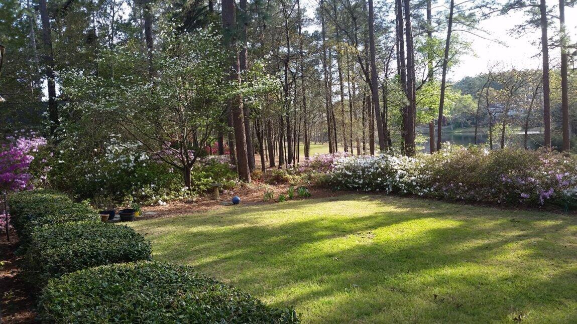 120 Yellow Pine Road Aiken, SC 29803 - Photo 45 of 47 Gallery Image 45