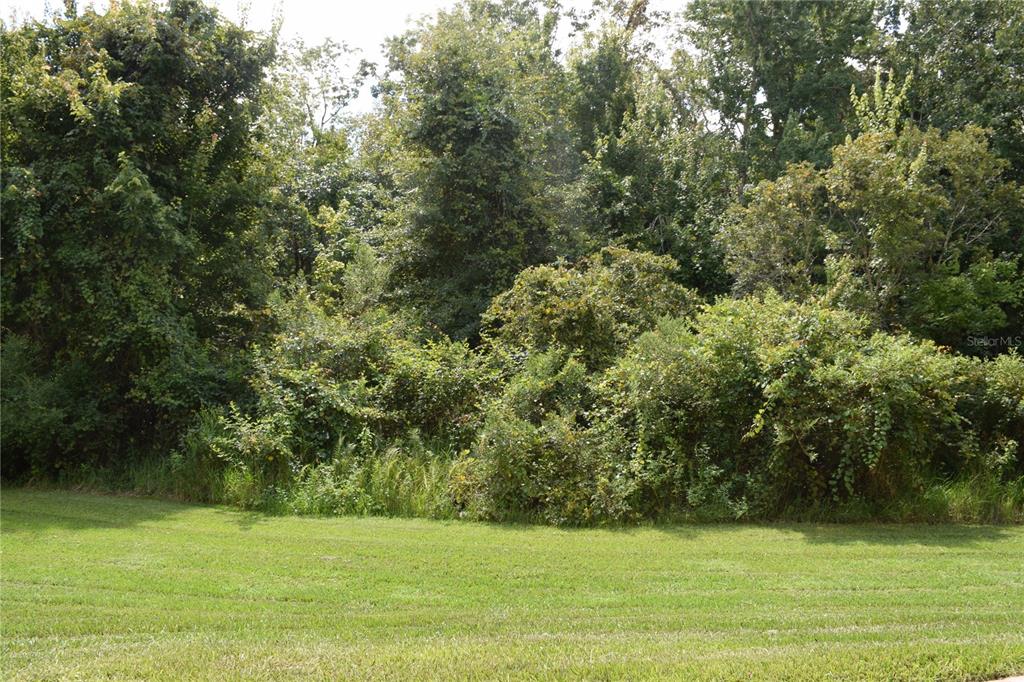 1375 Tuscana Lane, Unit 1108 Davenport, FL 33896 - Photo 24 of 24