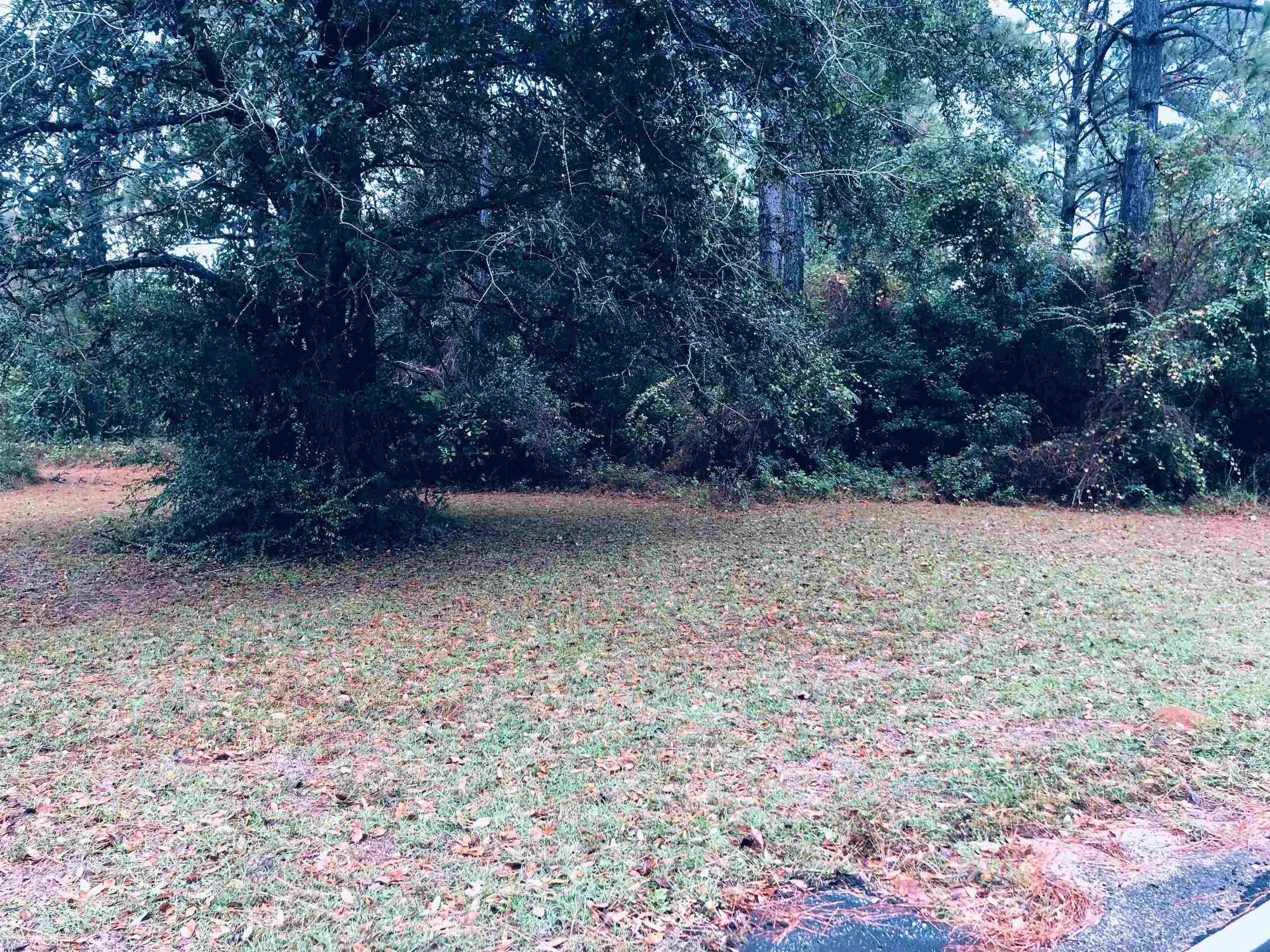 20950 Lacey Road Silverhill, AL 36576 - Photo 15 of 17