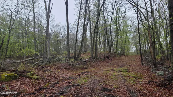$49,000 | Lot 1 White Birch Drive, Hawley, PA 18428