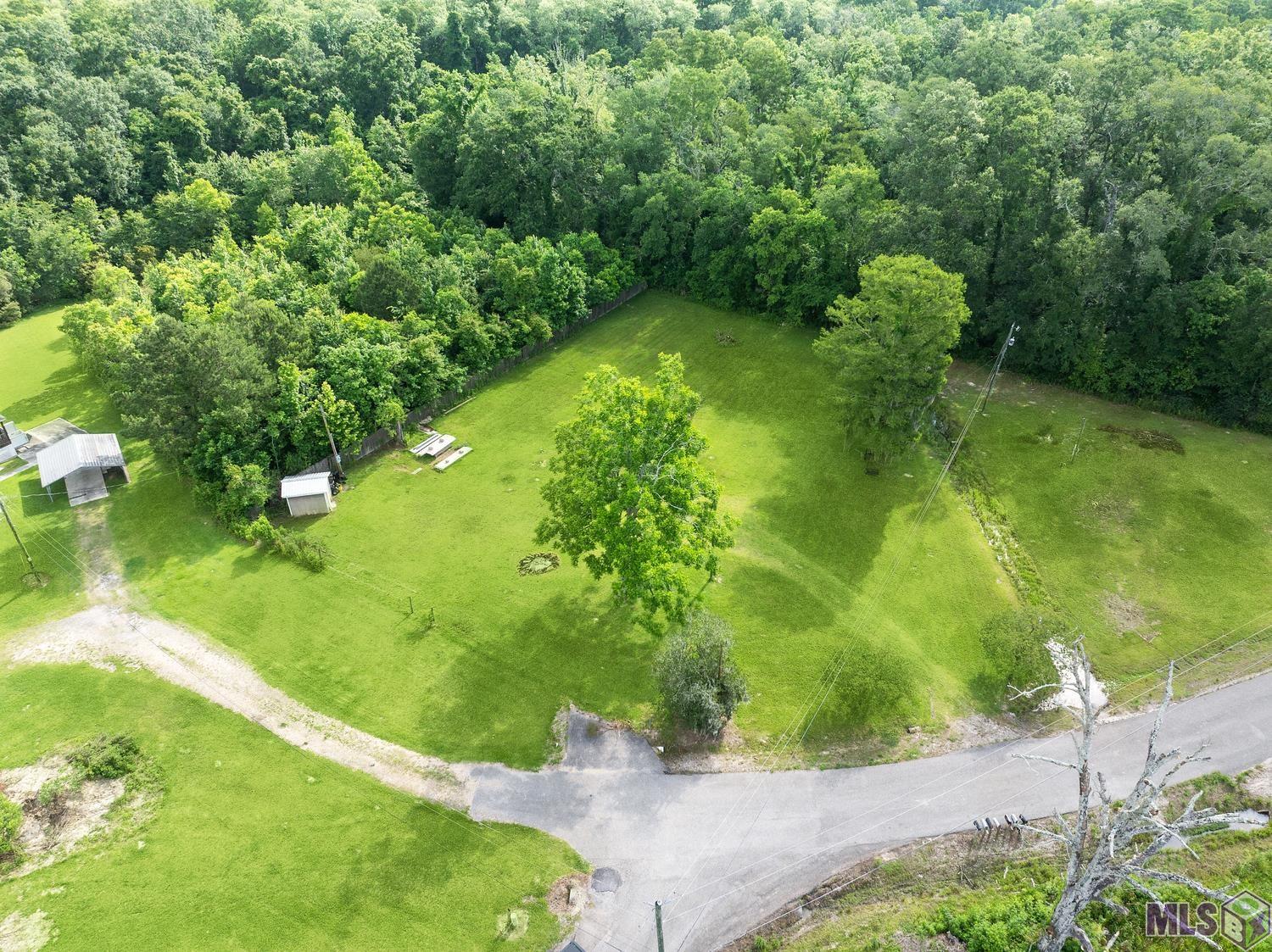 12246 Peter Bourgeois Road St. Amant, LA 70774 - Photo 13 of 21