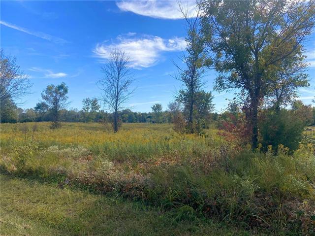 Tbd Northwest 795th Road Bates City, MO 64011 - Photo 1 of 1