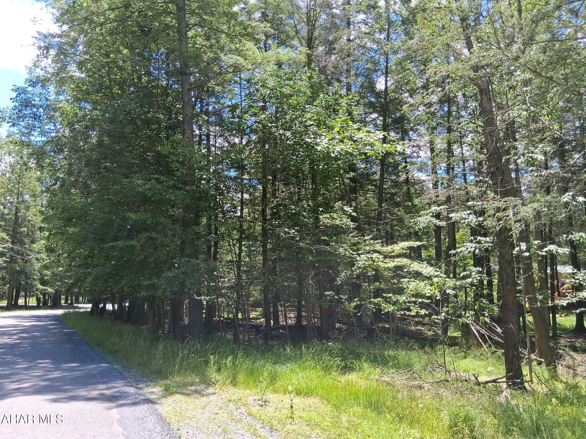 350 Kibler Lake Road Flinton, PA 16640 - Photo 12 of 13