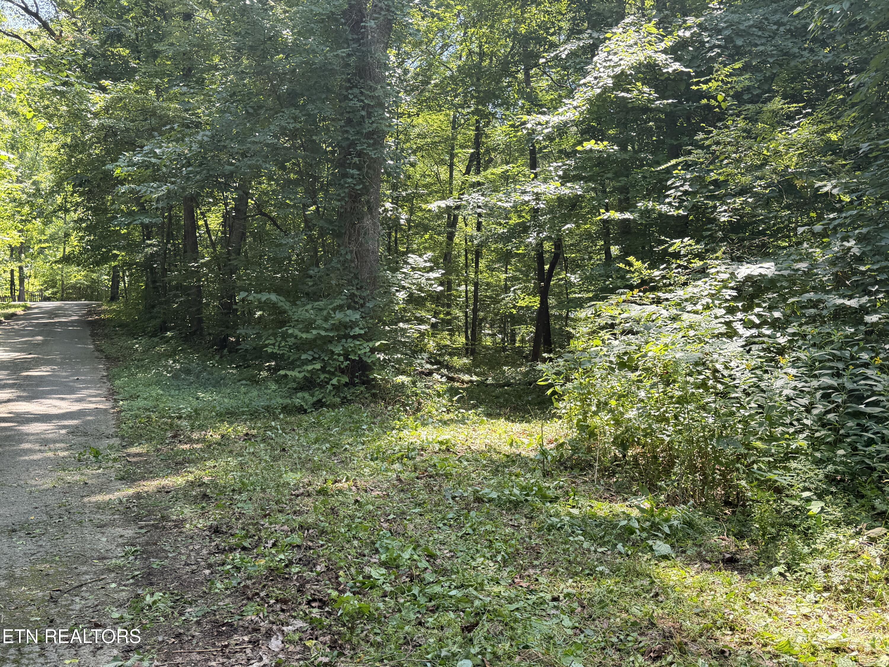 Charles Young Road Walland, TN 37886 - Photo 2 of 14 Previous Path for Camper