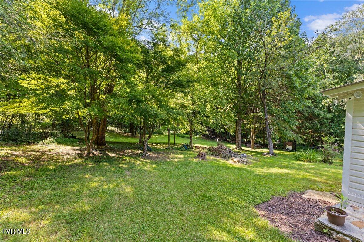 591 Whaley Town Road Butler, TN 37640 - Photo 13 of 41 11-128A0051